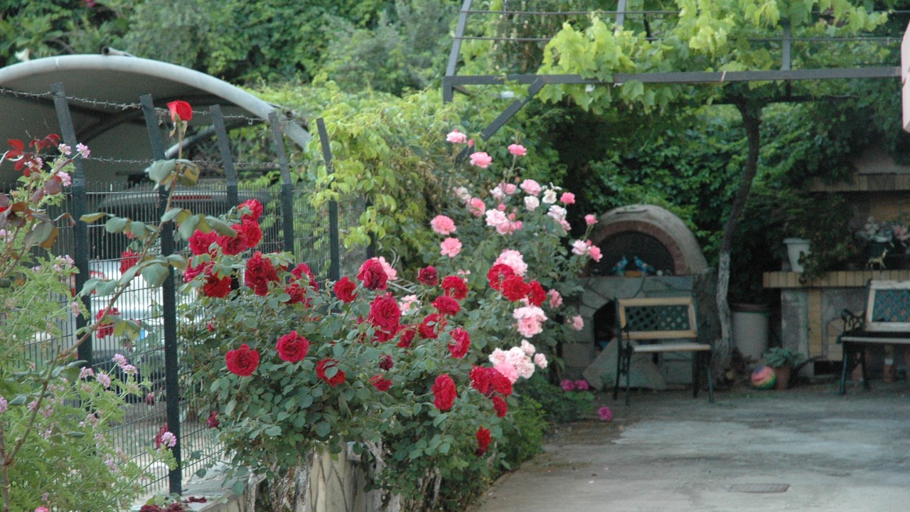 Photo of Outdoor in Patras