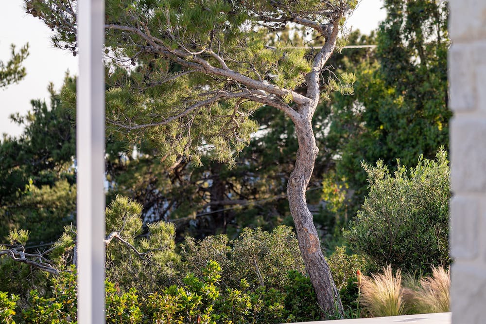 Photo of Outdoor in Ierapetra