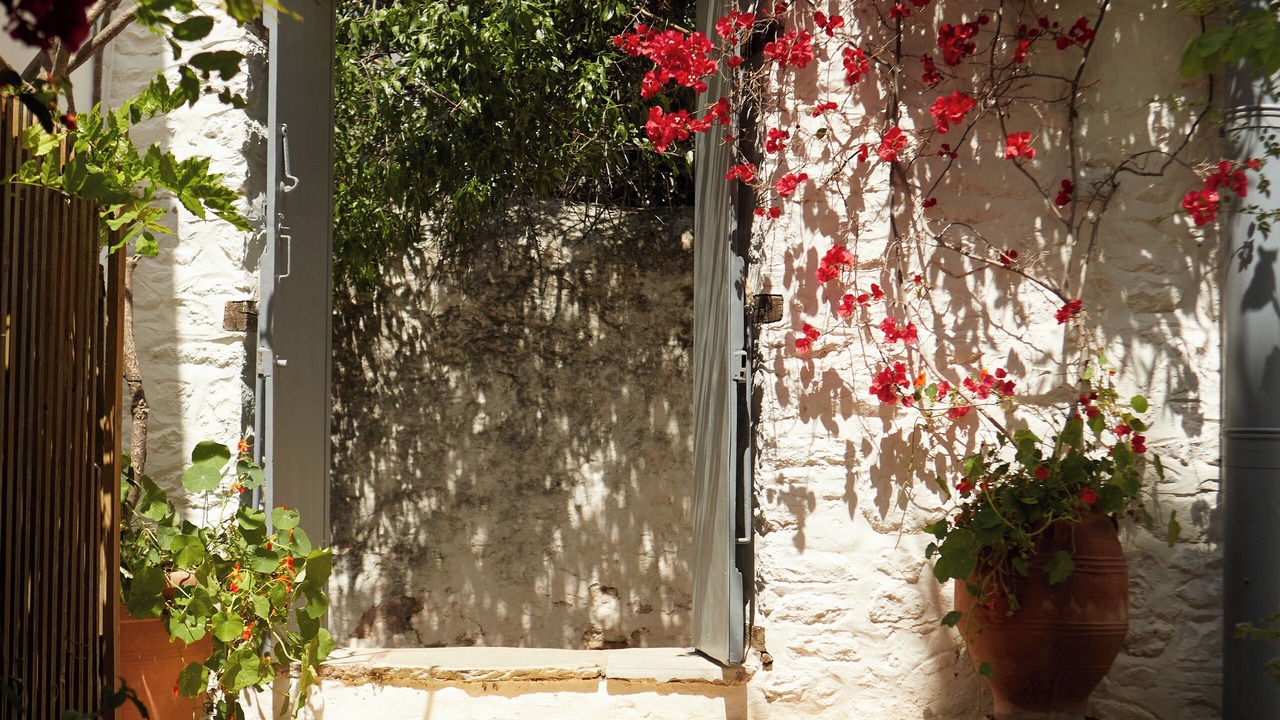 Photo of Outdoor in Hydra