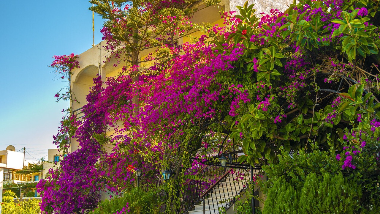 Photo of Outdoor in Skala