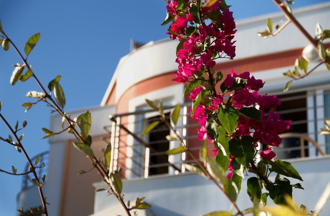 Photo of Outdoor in Varia