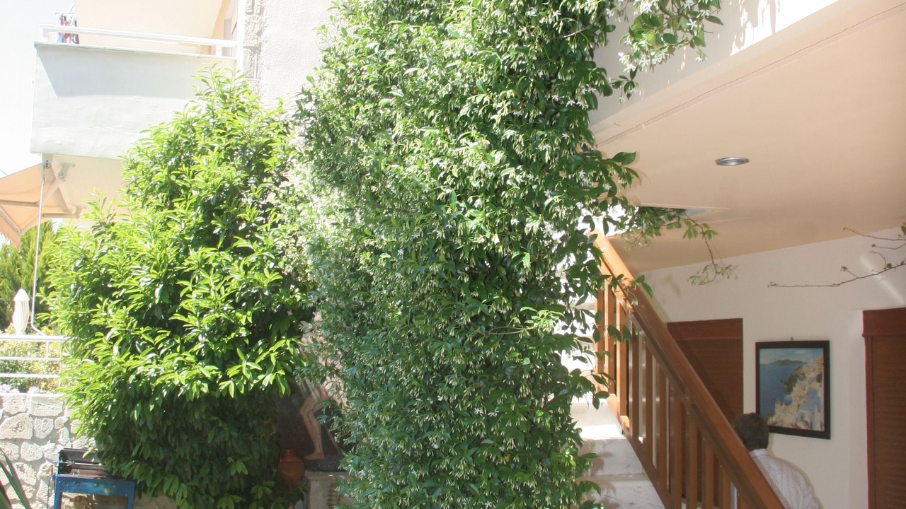 Photo of Outdoor in Kallithea