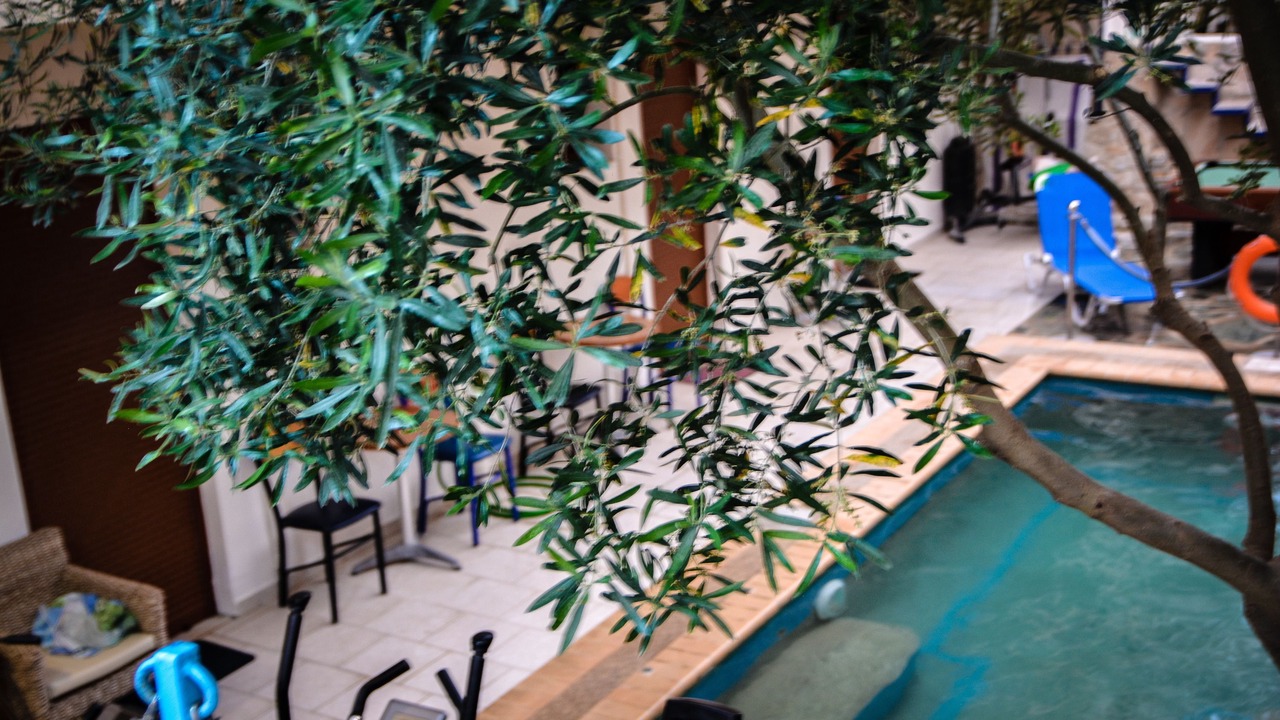 Photo of Outdoor in Kallithea