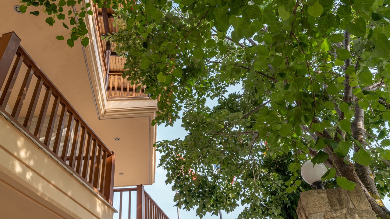 Photo of Outdoor in Kallithea