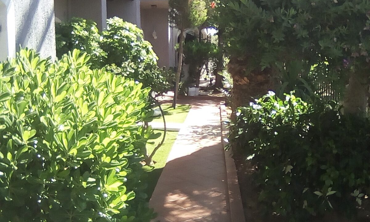 Photo of Outdoor in Kato Gouves