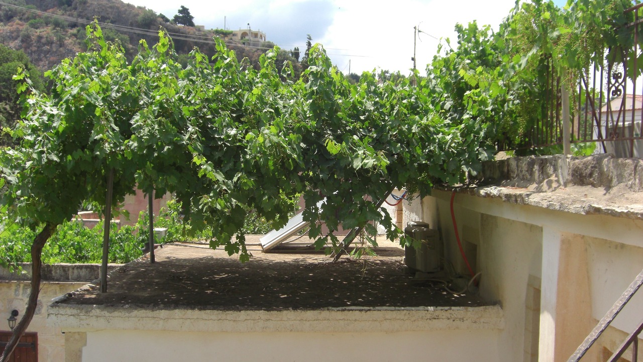 Photo of Patio Balcony in Vafes