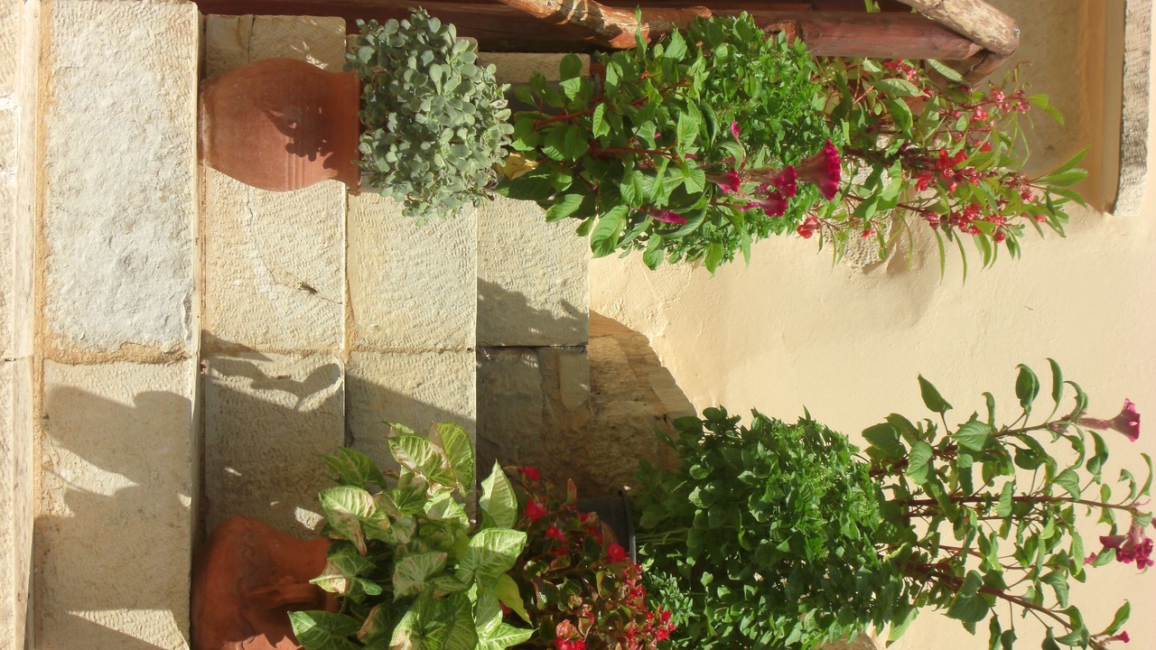 Photo of Outdoor in Vafes