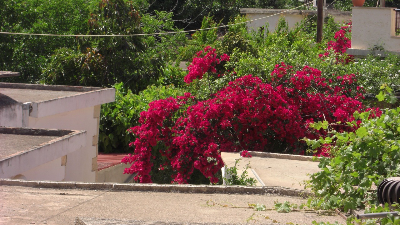 Photo of Outdoor in Vafes