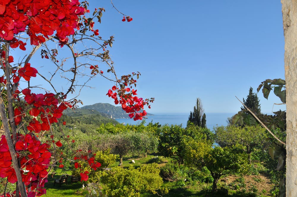 Photo of Outdoor in Pelekas