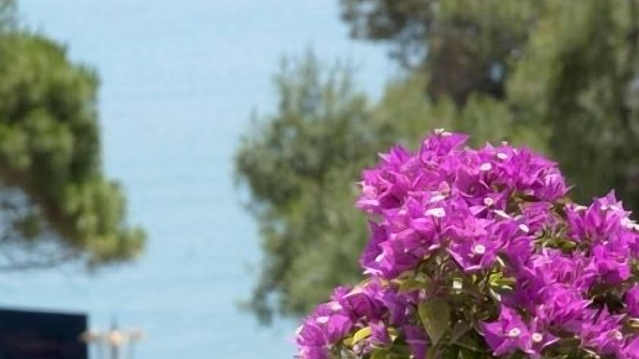 Photo of Others in Agios Emilianos