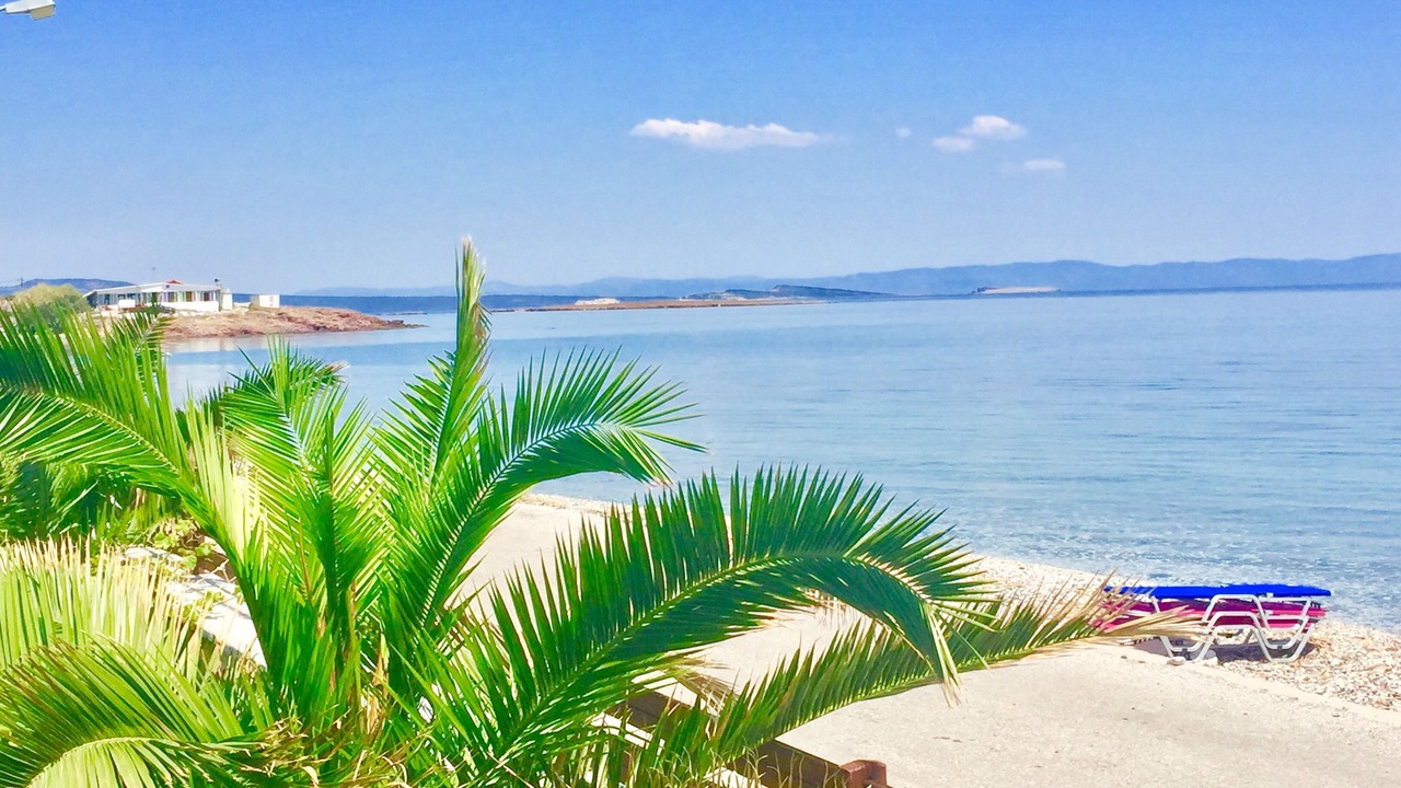 Photo of Others in Skala Neon Kidonion