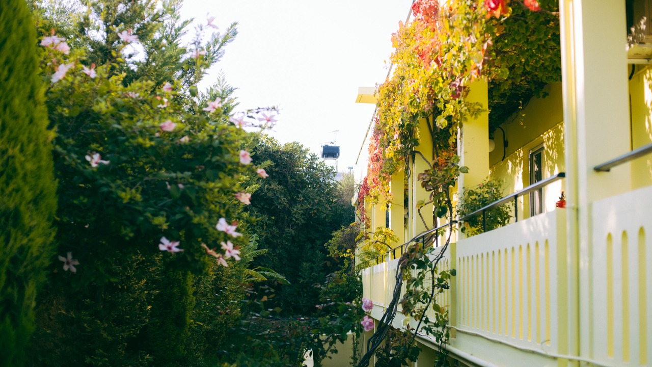Photo of Outdoor in Kalyves