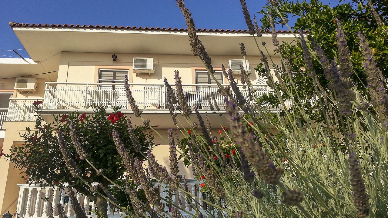 Photo of Outdoor in Amoudi