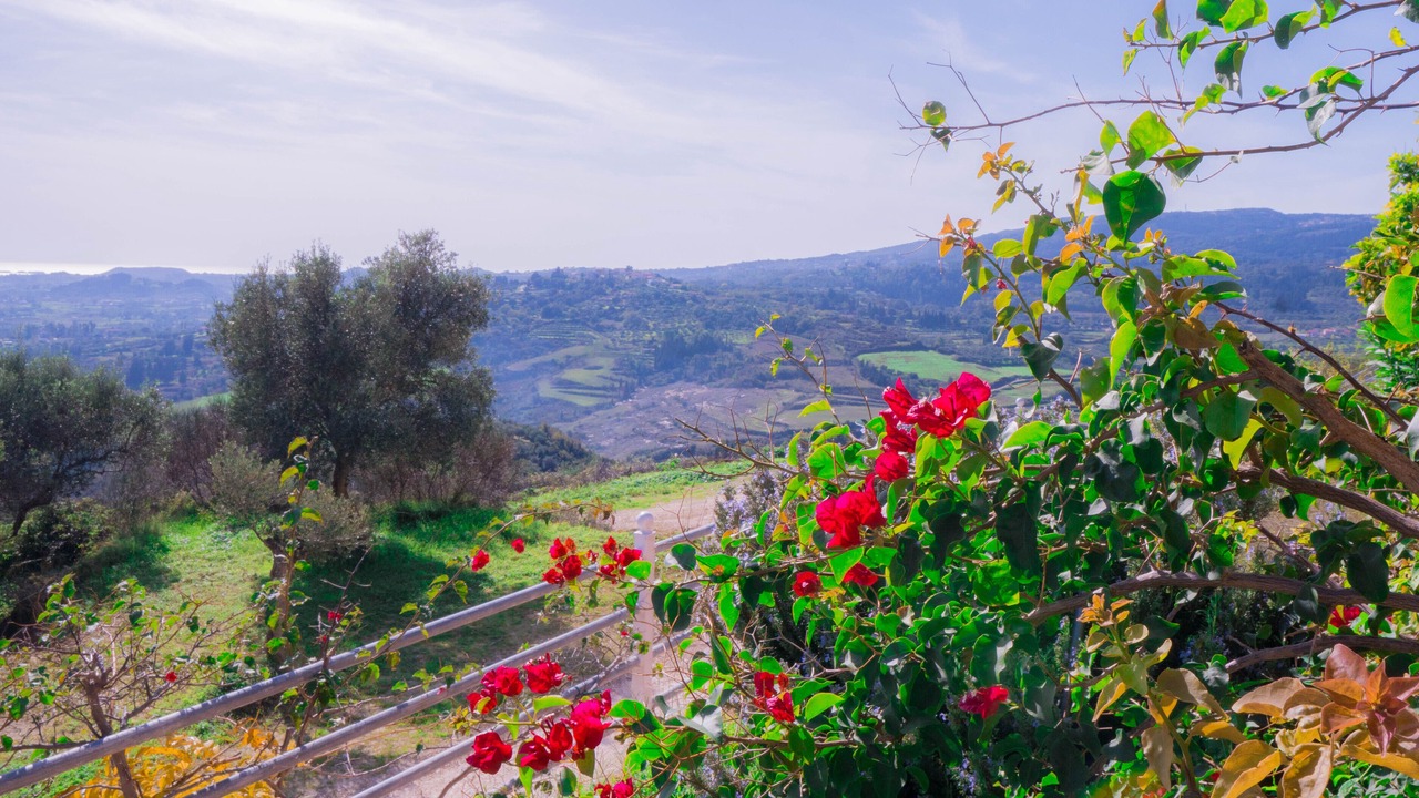 Photo of Outdoor in Loukerata