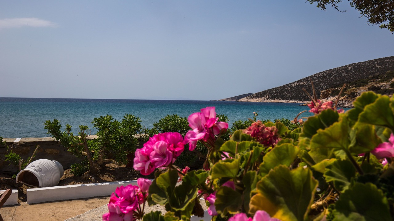 Photo of Outdoor in Platis Gialos