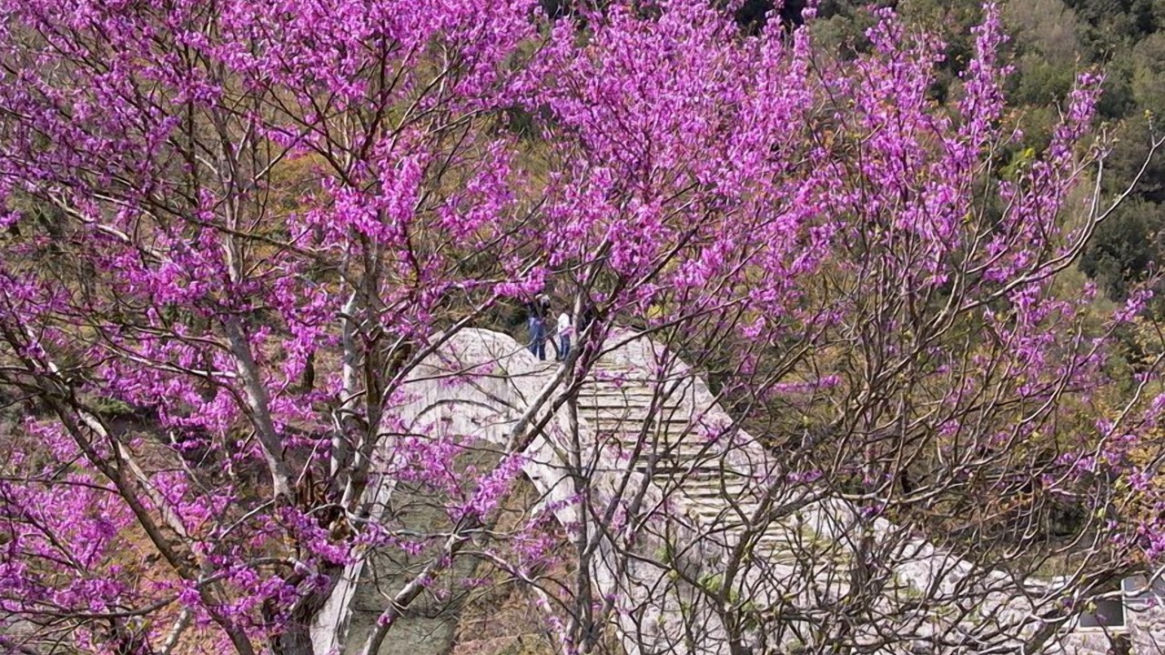 Photo of Outdoor in Tsopela