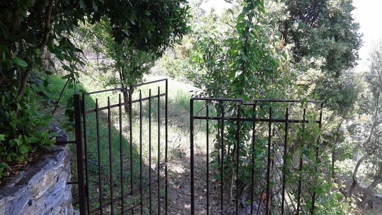 Photo of Others in Agios Vlassios