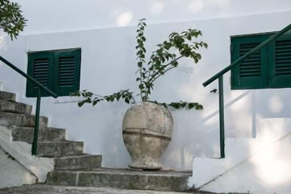 Photo of Outdoor in Mesovounia