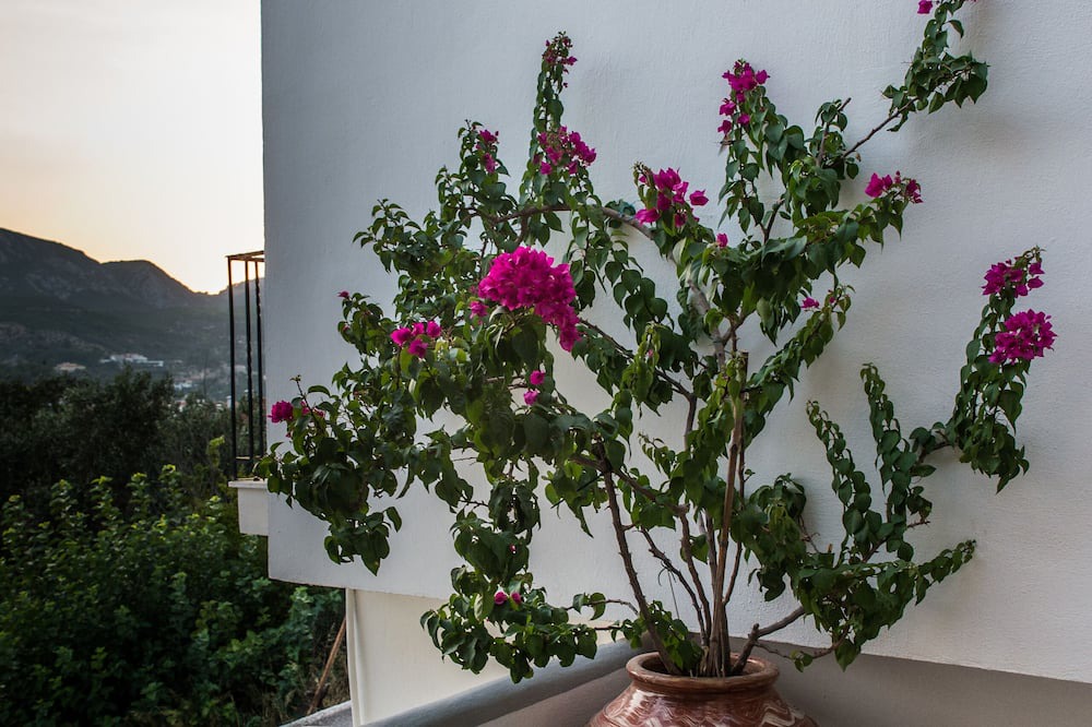 Photo of Outdoor in Kokkari
