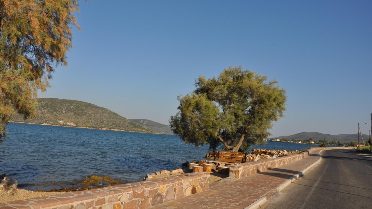 Photo of Others in Apidias Lakkos