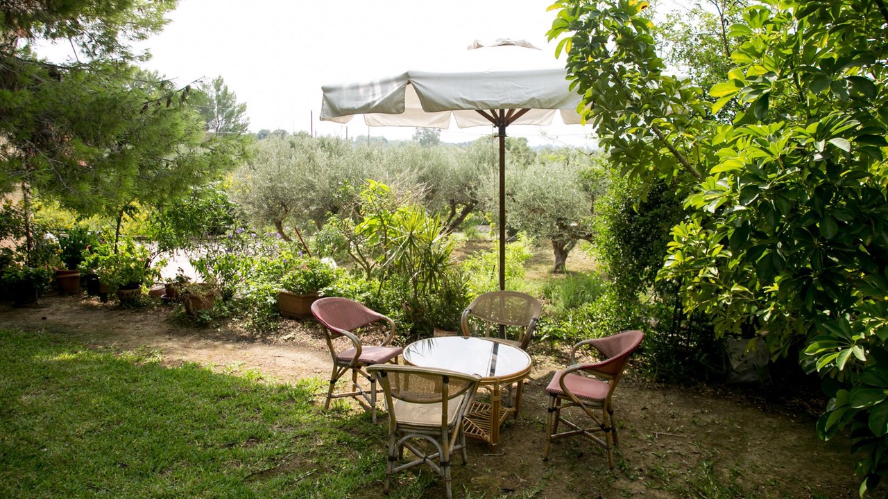 Photo of Outdoor in Kounopetra