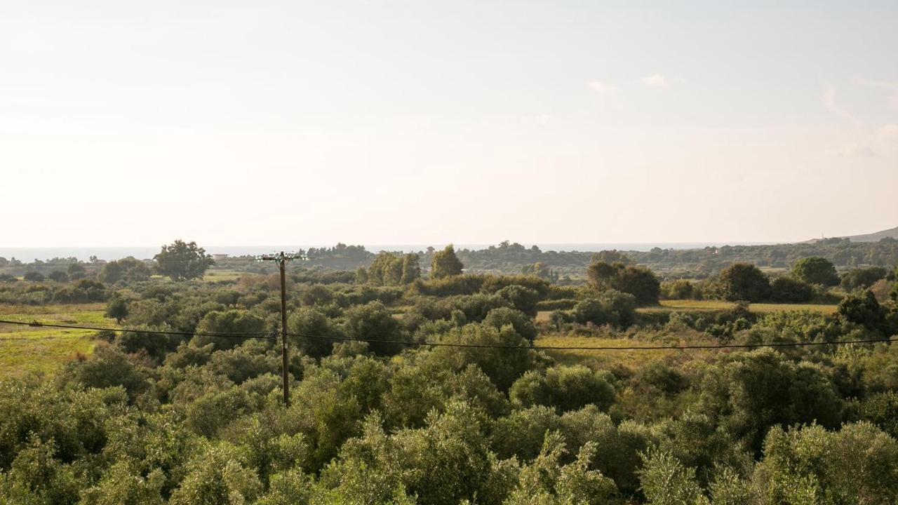 Photo of Others in Kounopetra