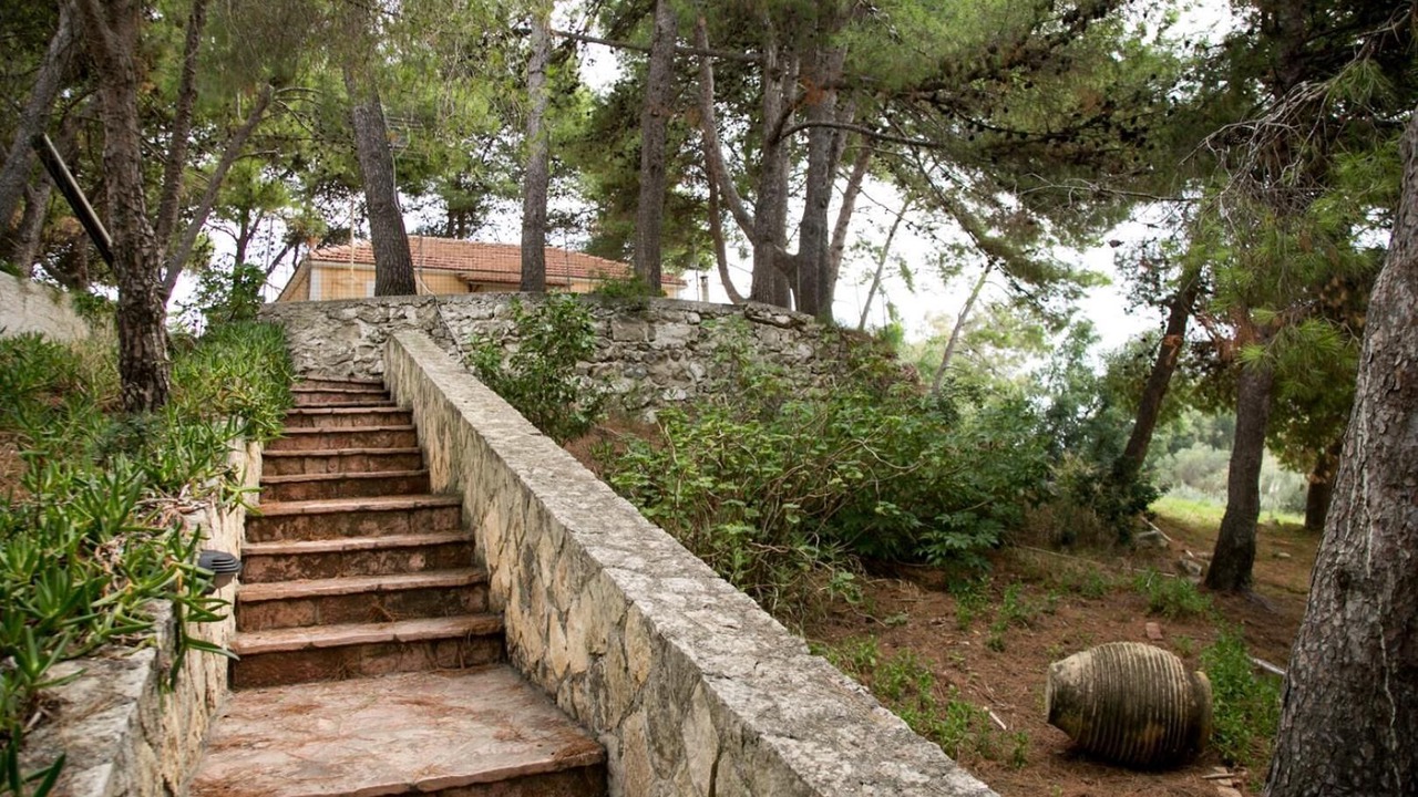Photo of Outdoor in Kounopetra