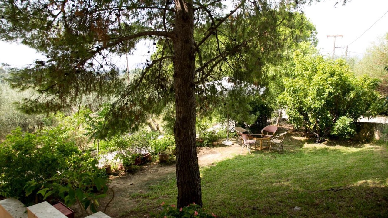 Photo of Outdoor in Kounopetra