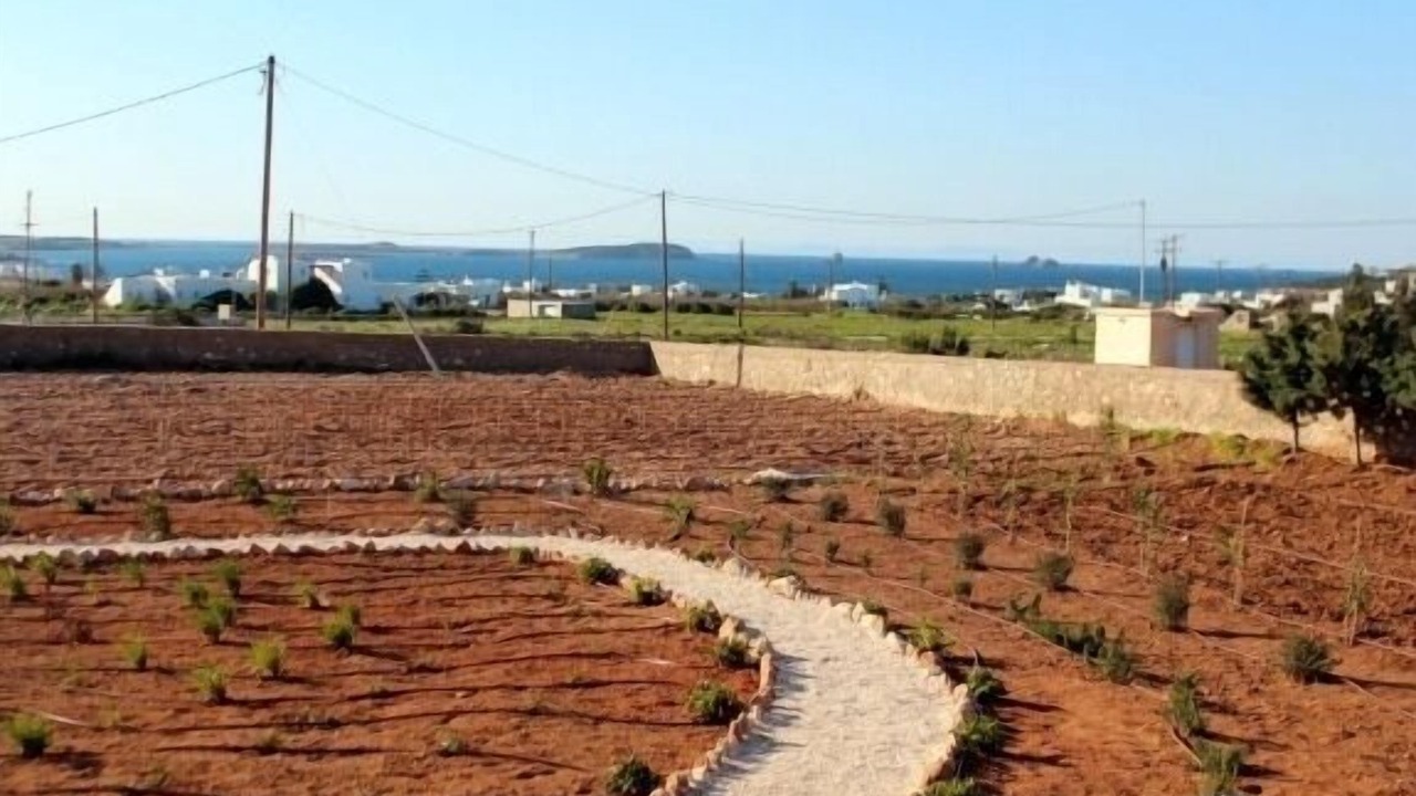 Photo of Outdoor in Pounta
