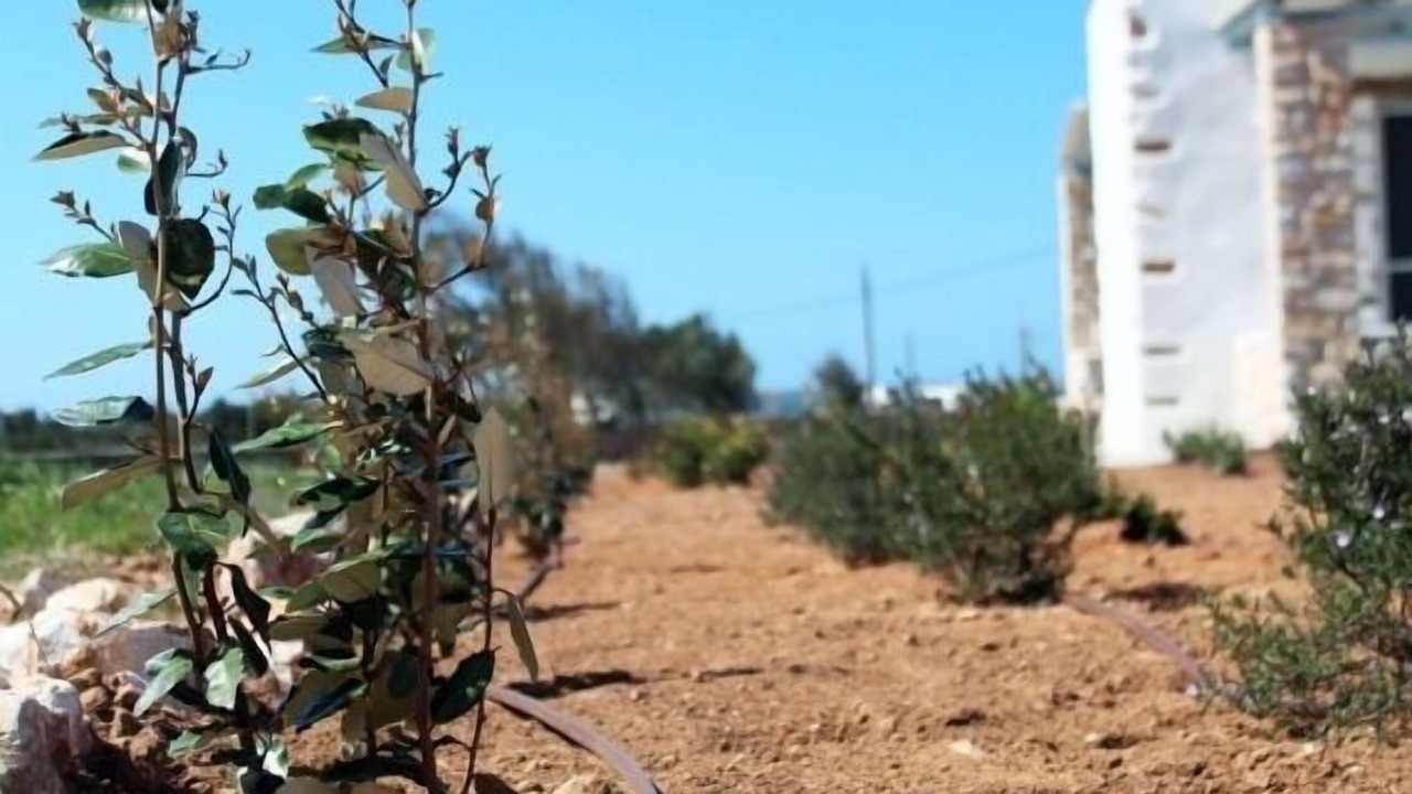 Photo of Outdoor in Pounta