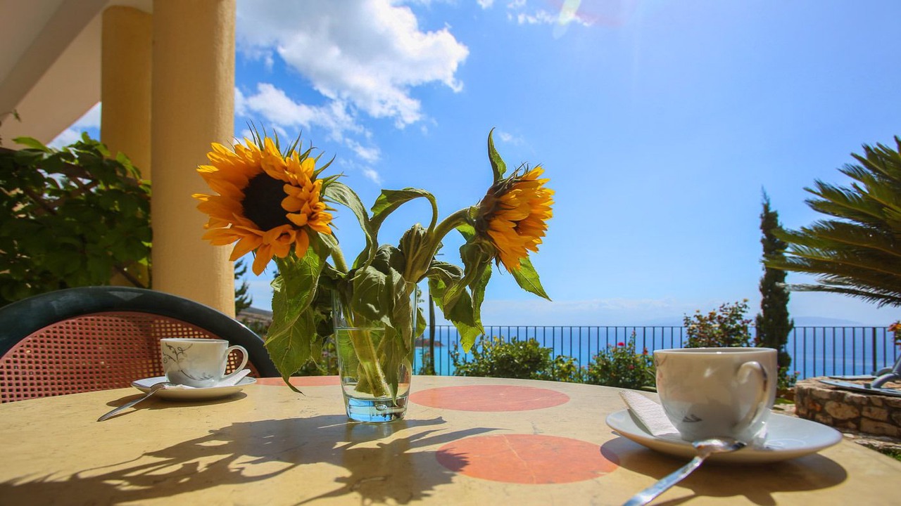 Photo of Others in Lourdata