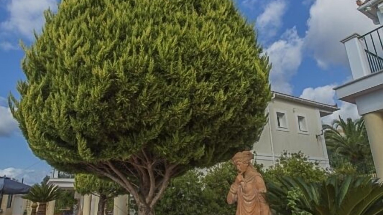 Photo of Outdoor in Lourdata