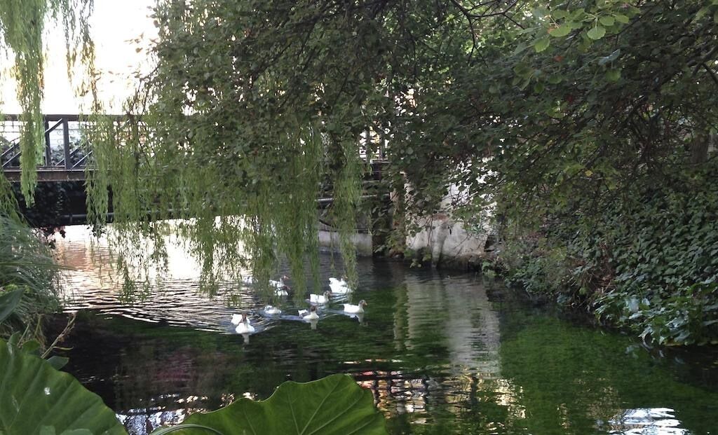 Photo of Outdoor in Kalyves
