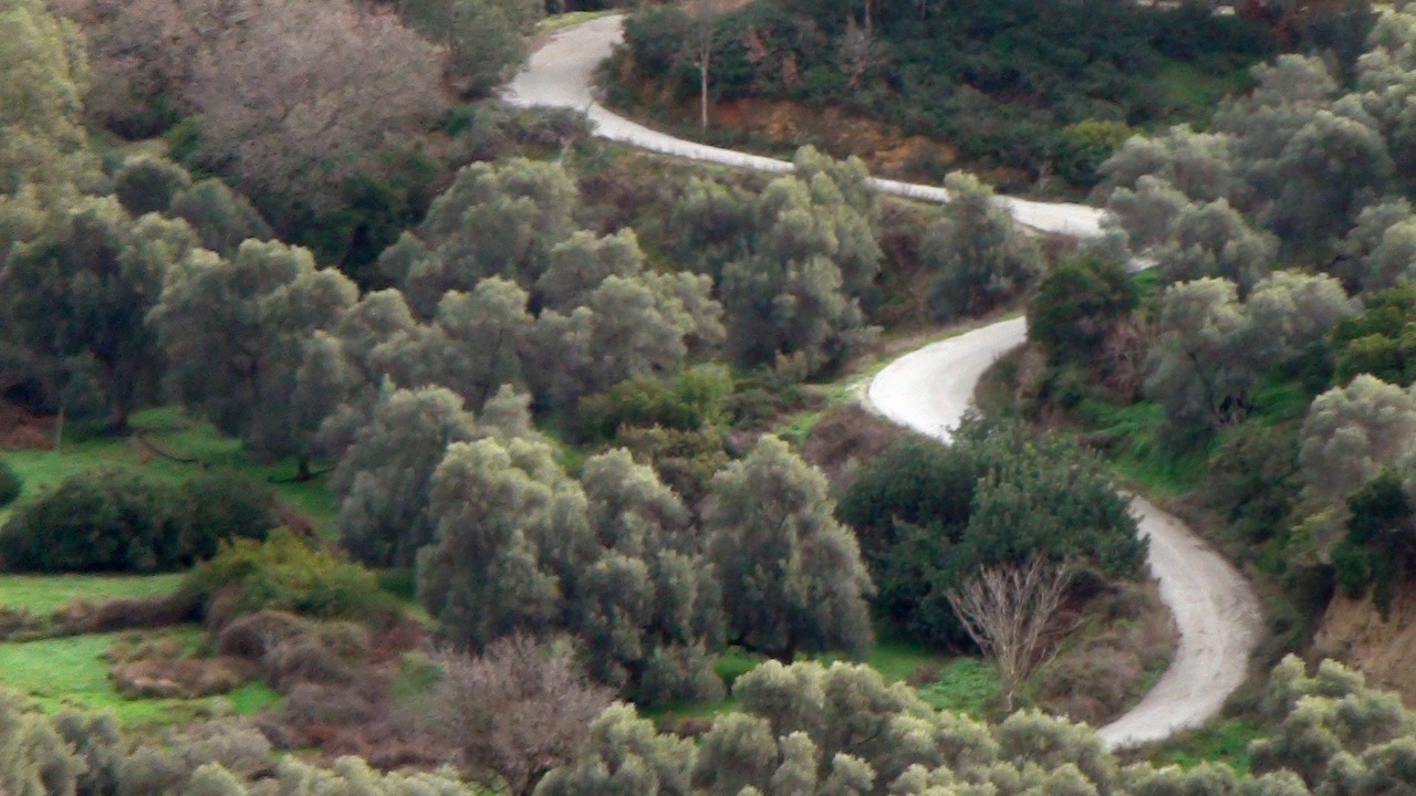 Photo of Outdoor in Kopetoi