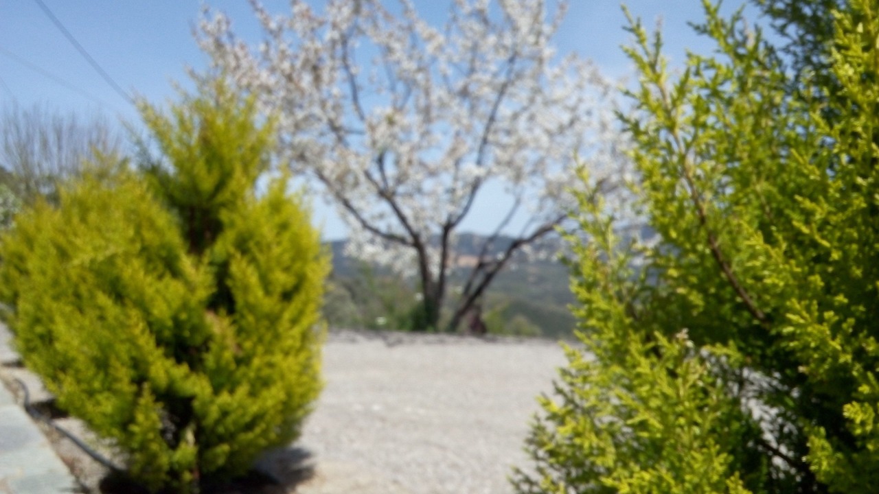 Photo of Outdoor in Kopetoi