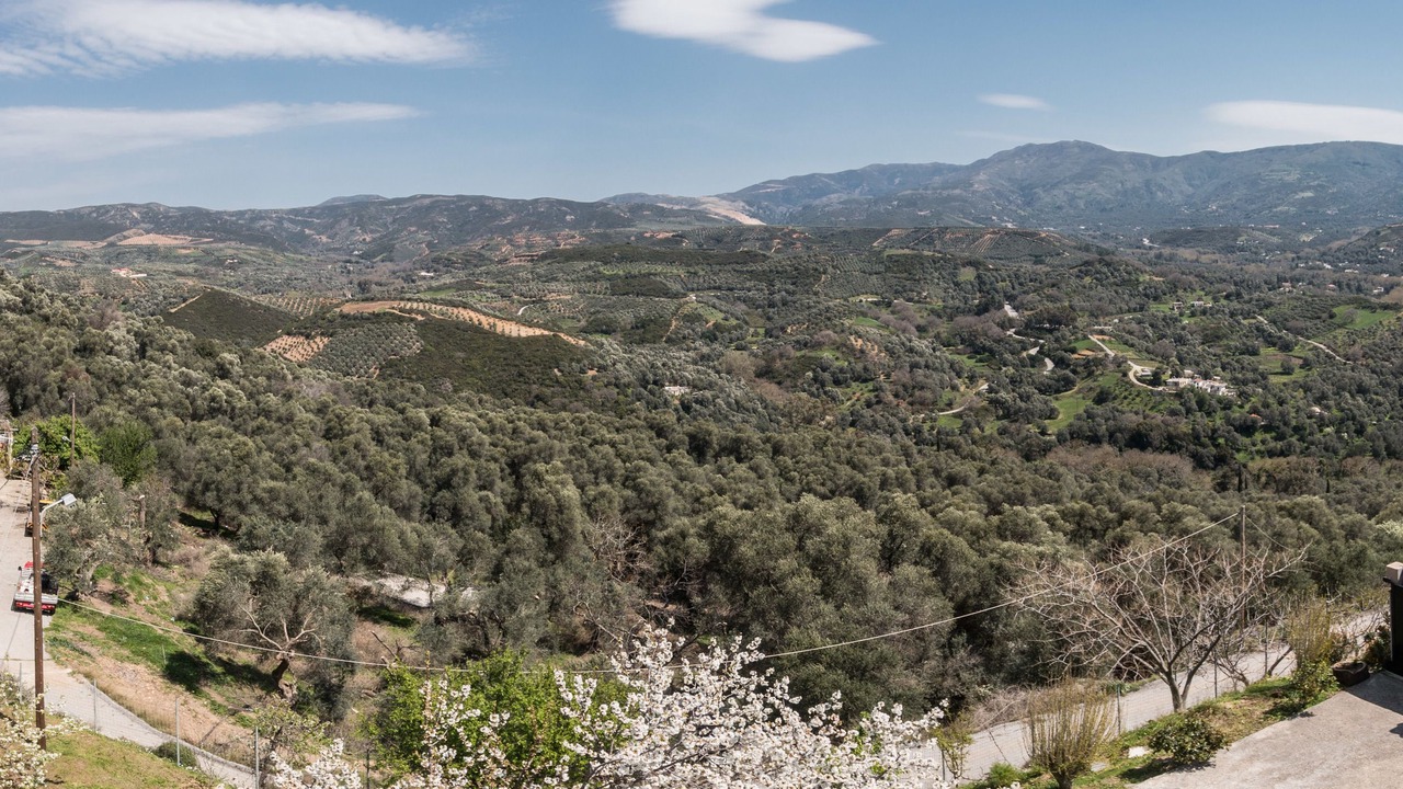 Photo of Outdoor in Kopetoi