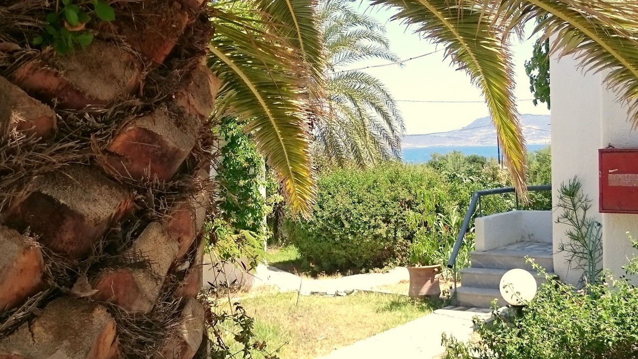 Photo of Outdoor in Tripitos
