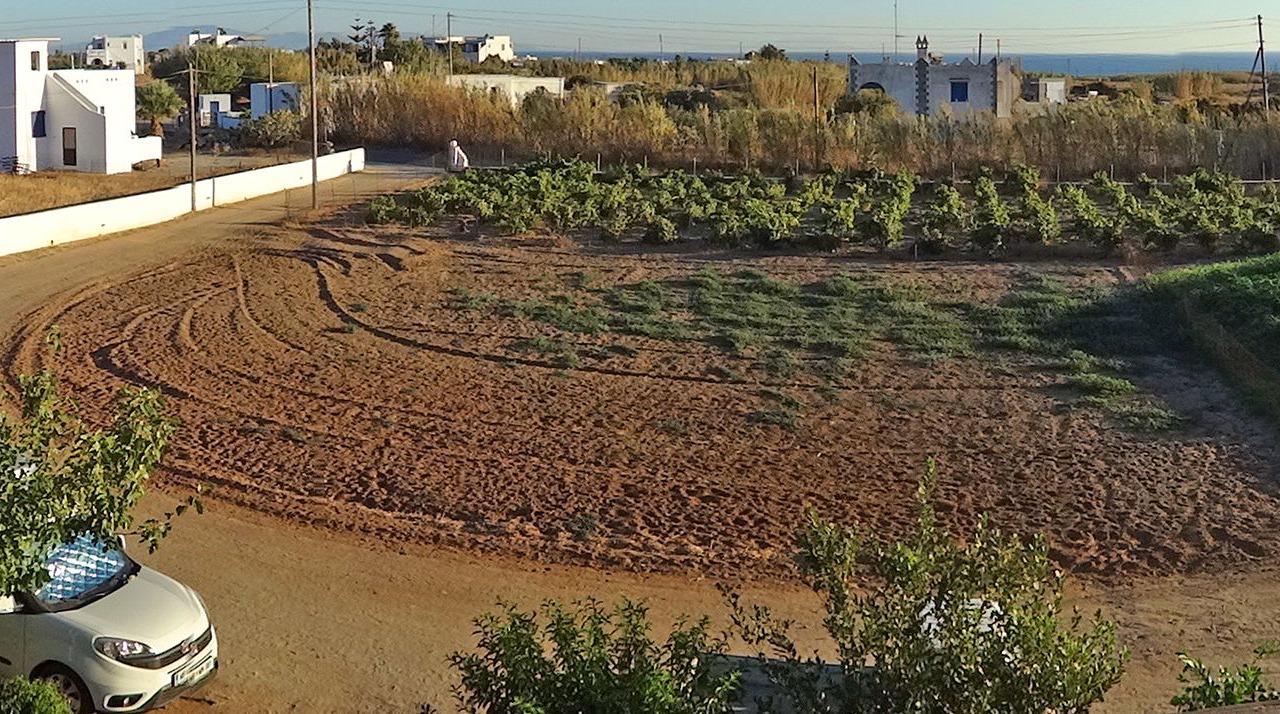 Photo of Outdoor in Naxos