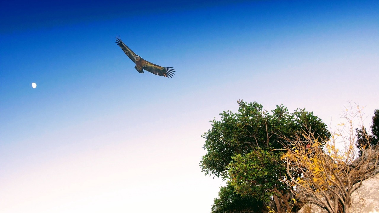 Photo of Outdoor in Koutouloufari