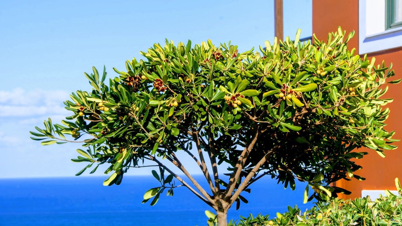 Photo of Outdoor in Koutouloufari