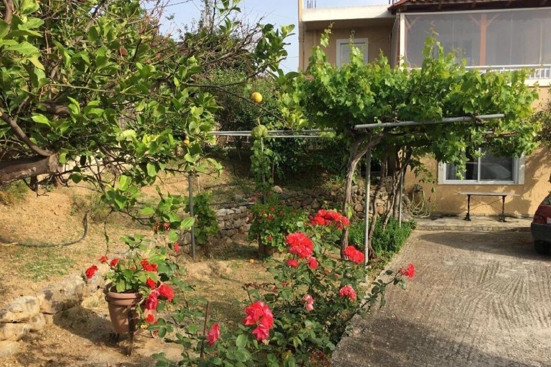 Photo of Outdoor in Pigi