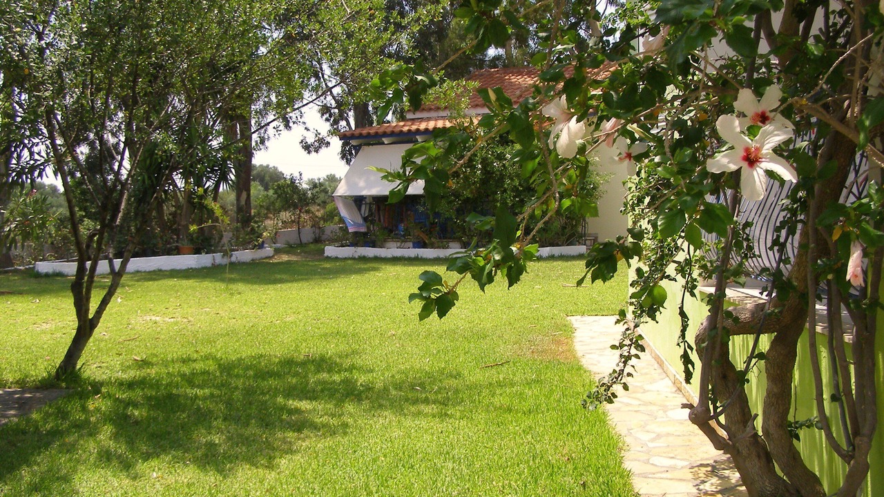 Photo of Outdoor in Spartia