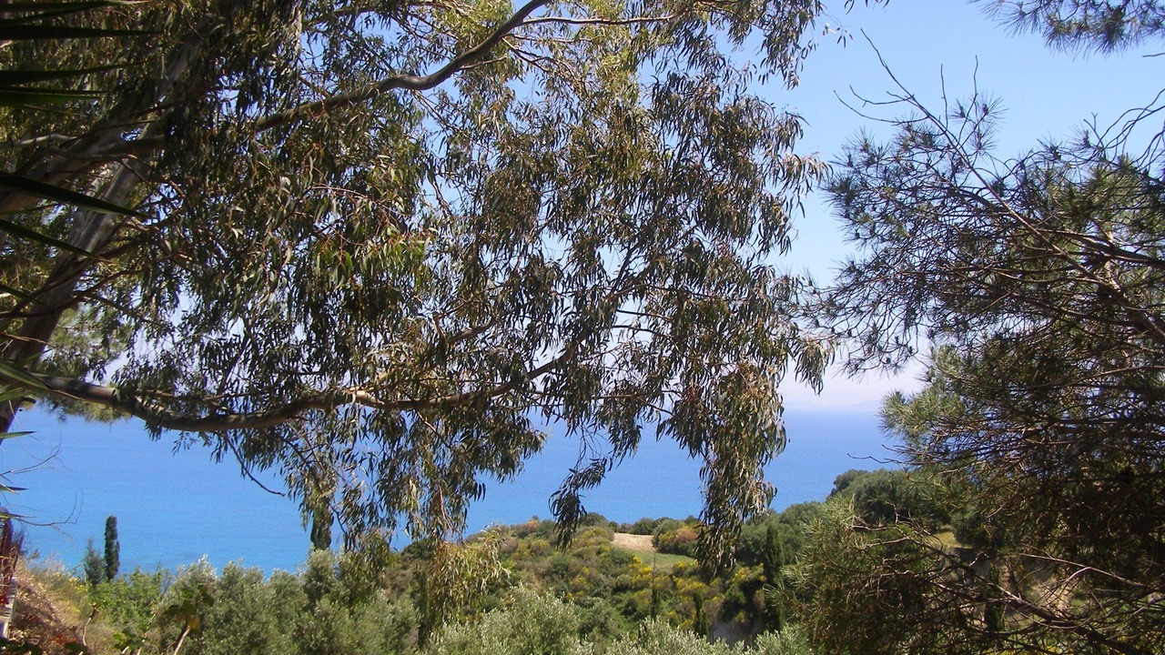 Photo of Others in Spartia