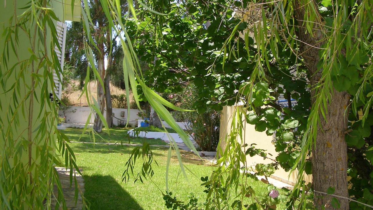 Photo of Outdoor in Spartia