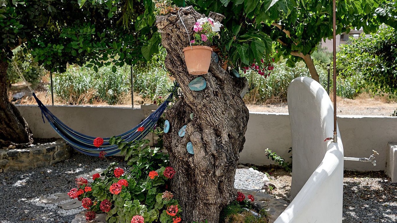 Photo of Outdoor in Khondros