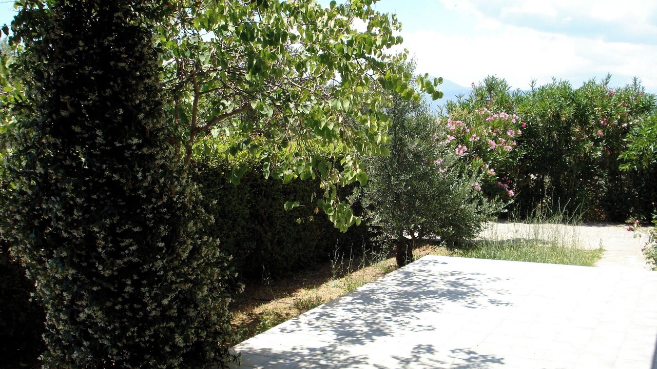 Photo of Outdoor in Analipsi