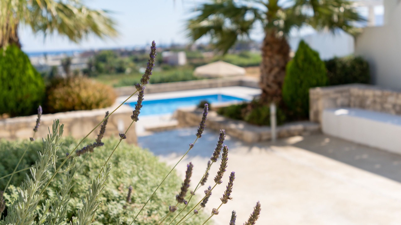 Photo of Outdoor in Kavros