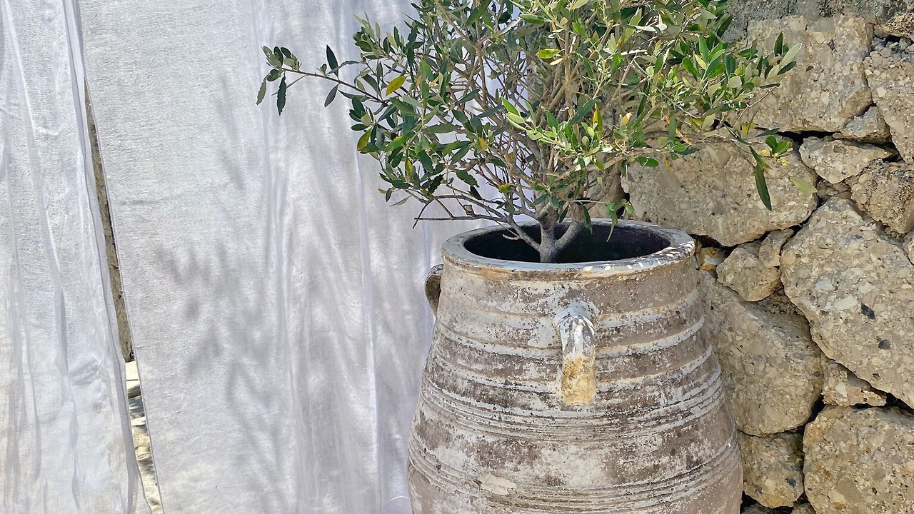 Photo of Outdoor in Spanokhorion