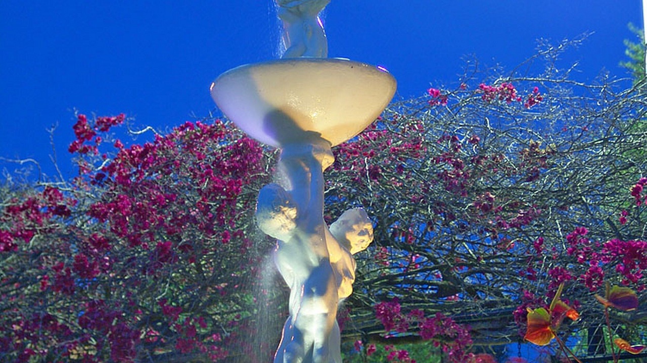 Photo of Outdoor in Ano Vasilikos