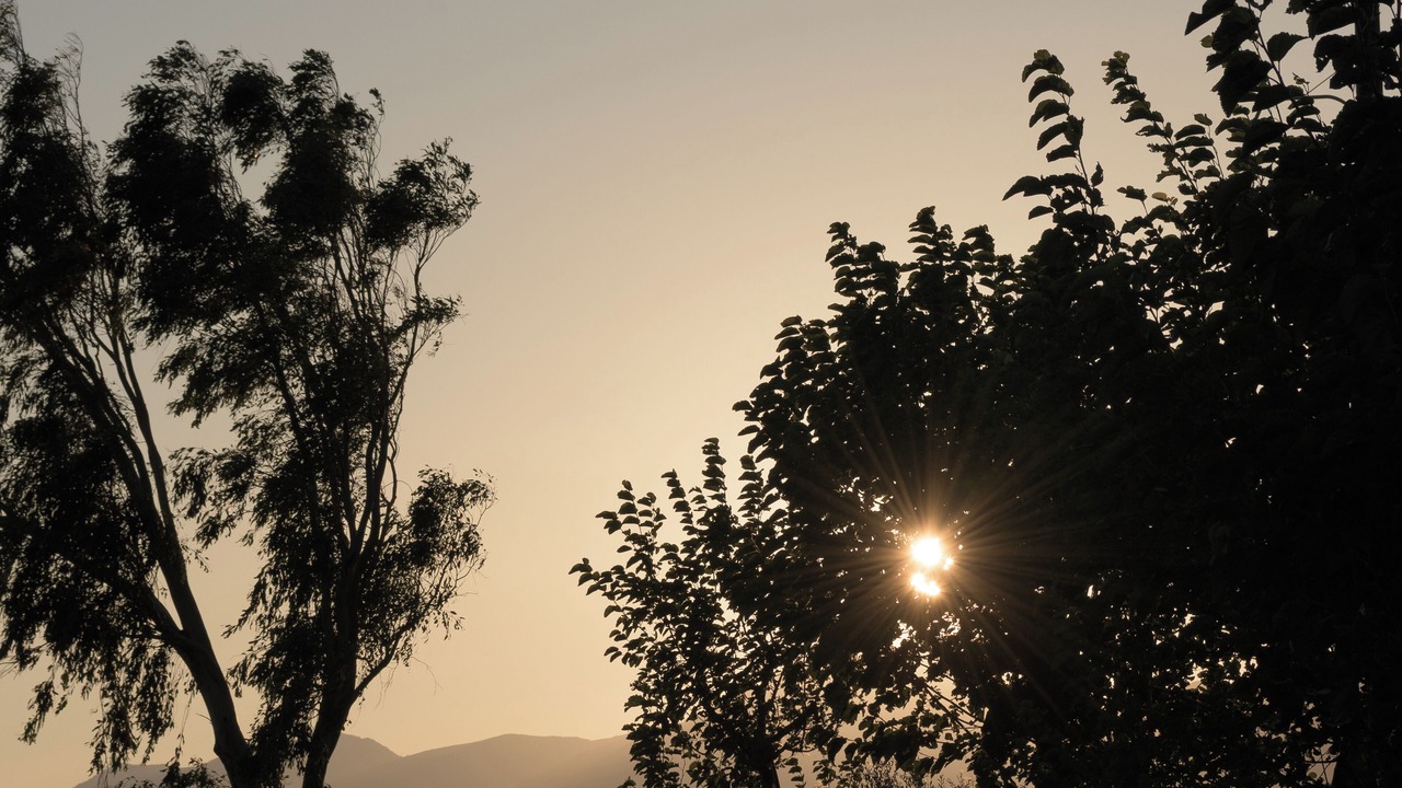 Photo of Others in Agios Vasileios